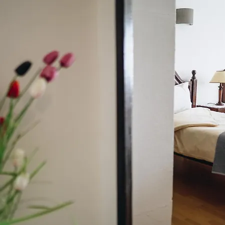 Host Wise - Terrace & Ocean View Flat Daire